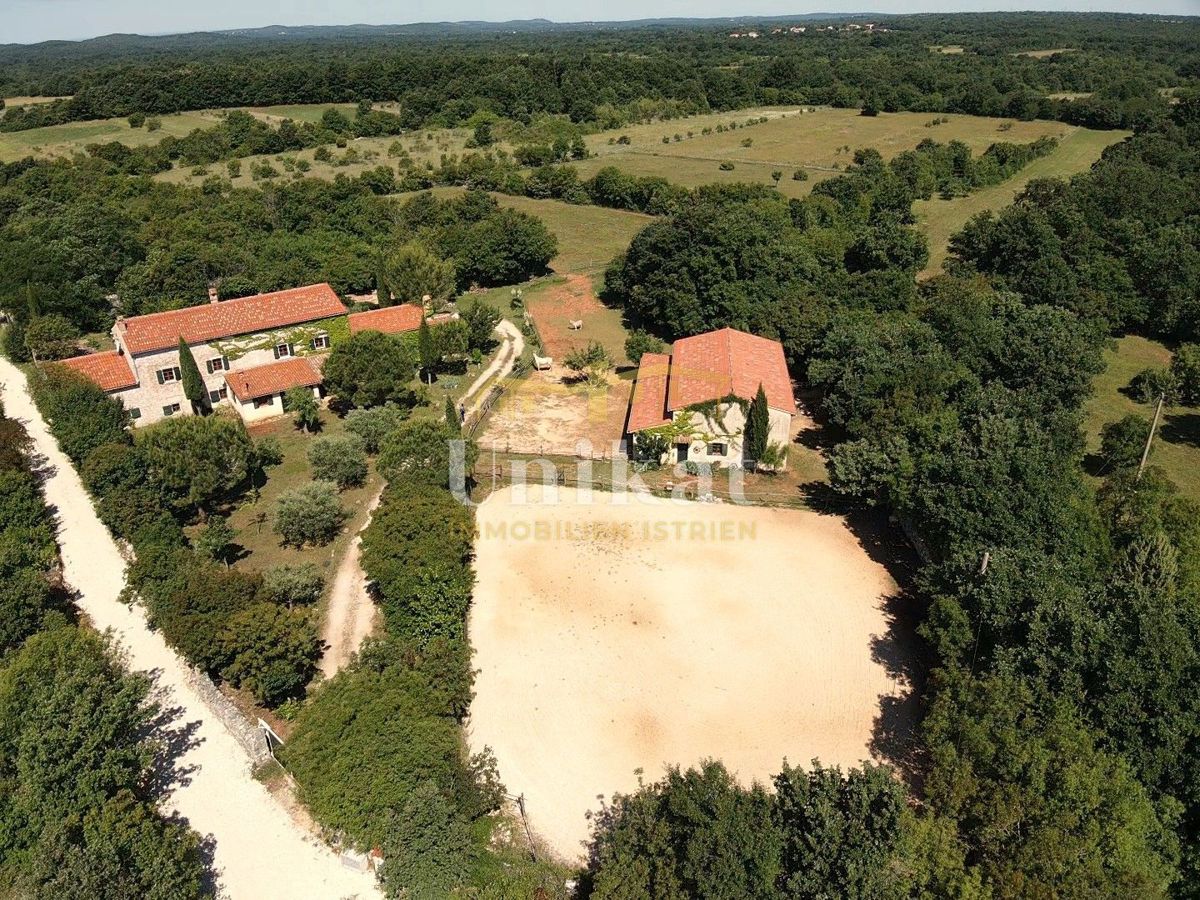 Avtentično posestvo s kamnito hišo in velikim zemljiščem